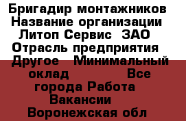 Бригадир монтажников › Название организации ­ Литоп-Сервис, ЗАО › Отрасль предприятия ­ Другое › Минимальный оклад ­ 23 000 - Все города Работа » Вакансии   . Воронежская обл.